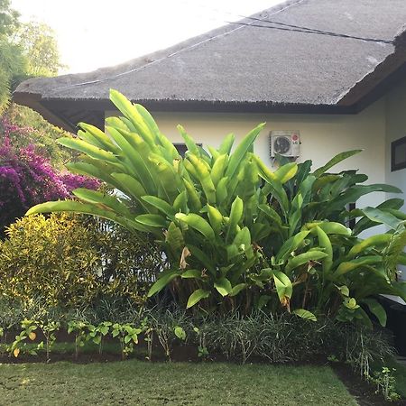 Villa Danison ウメアンヤー エクステリア 写真
